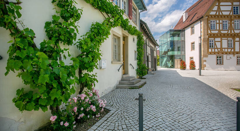 Ein gepflasterter Hof mit alten und modernen Gebäuden, an einem der Gebäude wächst eine grüne Pflanze mit Rosen.