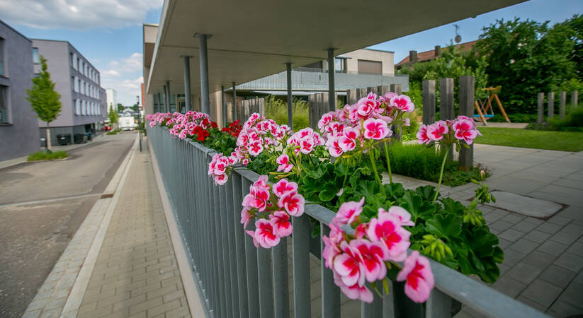 Einladender Empfang im Quartier für Generationen: An einem Fußweg entlang einer modernen Gebäudezeile blühen pink-weiße Blumen in Blumenkästen auf einem Geländer.