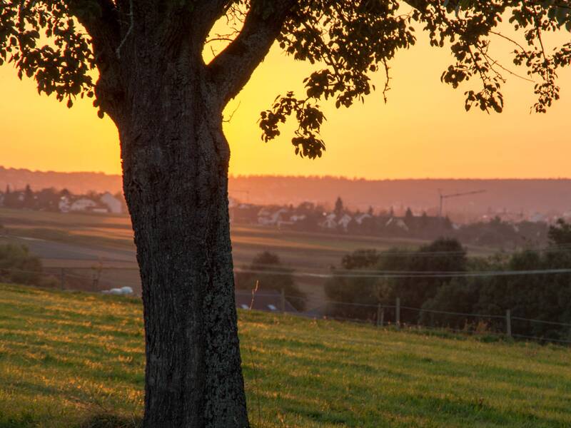 Blick auf Neuhausen von Süden