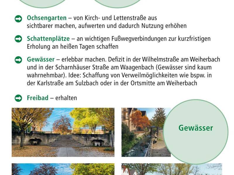 Das Informationsplakat trägt den Titel „Neuhausen soll grüner werden“ und präsentiert Ideen zur Aufwertung von Grünflächen mit Bildern von Parks, Wasserwegen und einem Freibad, einschließlich einer Einladung zum Town-Hall-Meeting am 7. Dezember 2024.