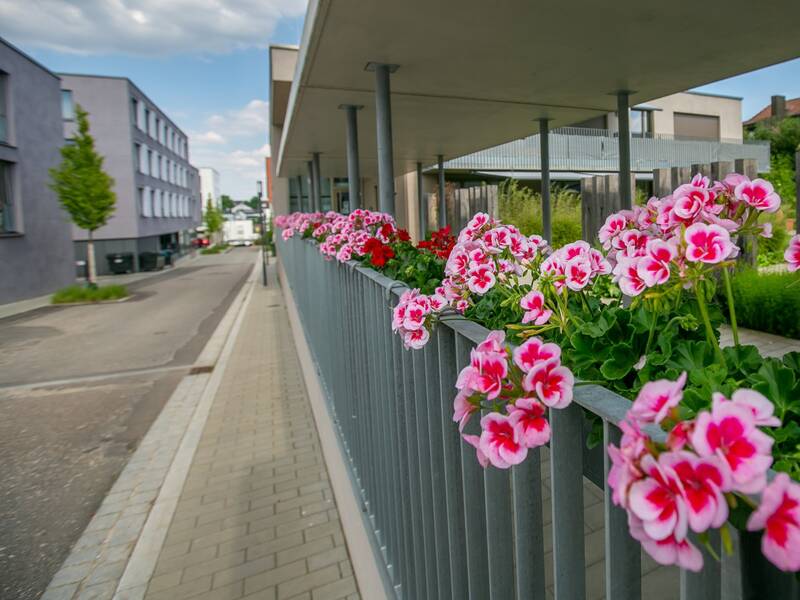 Blumenschmuck im Quartier für Generationen